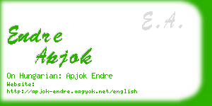 endre apjok business card